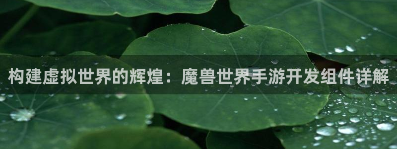 三牛娱乐管网客服电话：构建虚拟世界的辉煌：魔兽世界手游开发组