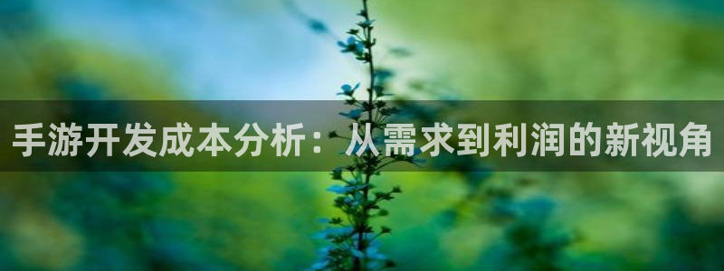 三牛平台娱乐：手游开发成本分析：从需求到利润的新视角