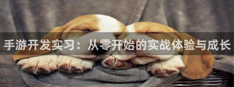 买三牛：手游开发实习：从零开始的实战体验与成长