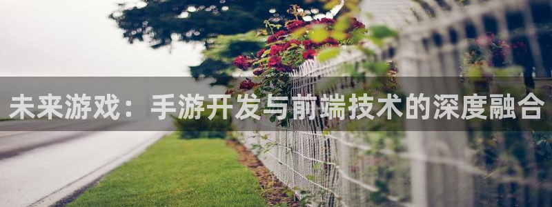 江苏三牛：未来游戏：手游开发与前端技术的深度融合