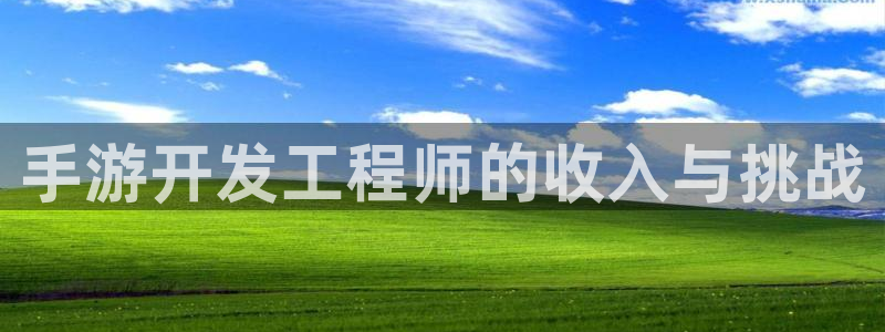 三牛娱乐官网登录入口下载：手游开发工程师的收入与挑战