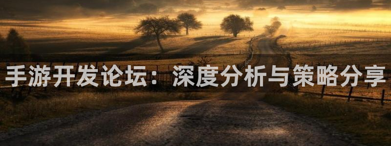 江苏三牛：手游开发论坛：深度分析与策略分享